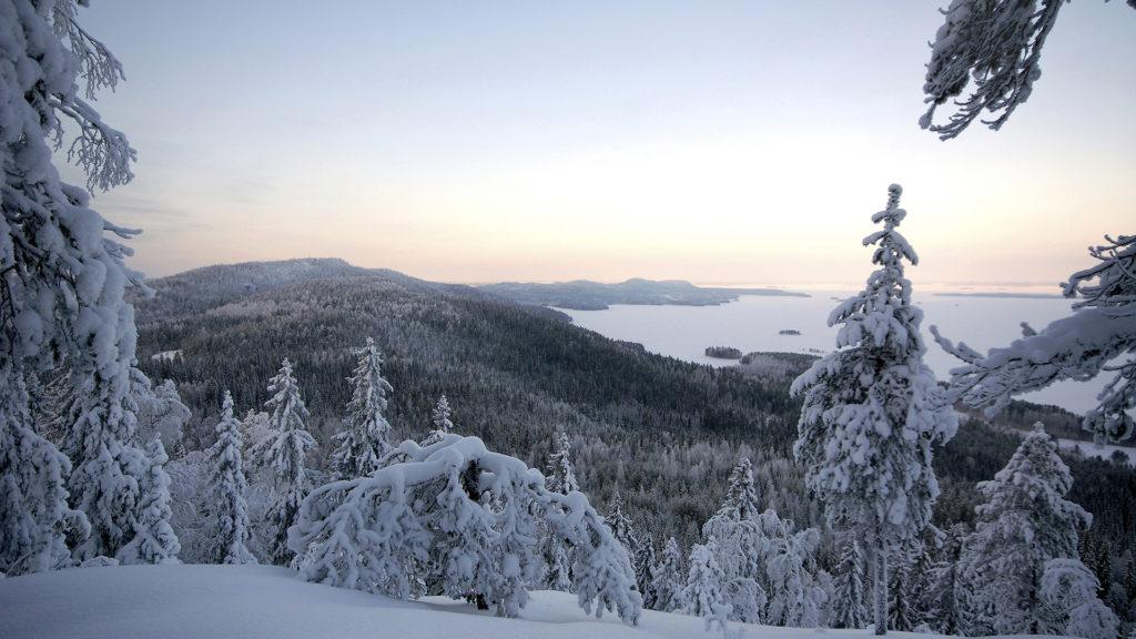 Talvimaisema Mäkrältä, Koli 2007